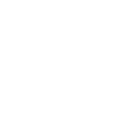 BTV Friesen